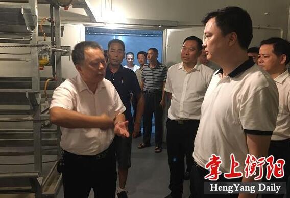 2021年衡山县扶持湘黄鸡产业，打赢脱贫攻坚战！