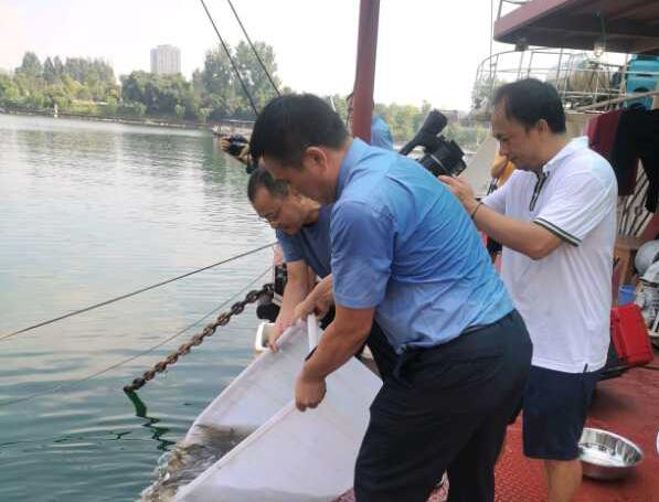 衡阳市渔政执法，将3万鲜活鱼苗放入湘江!