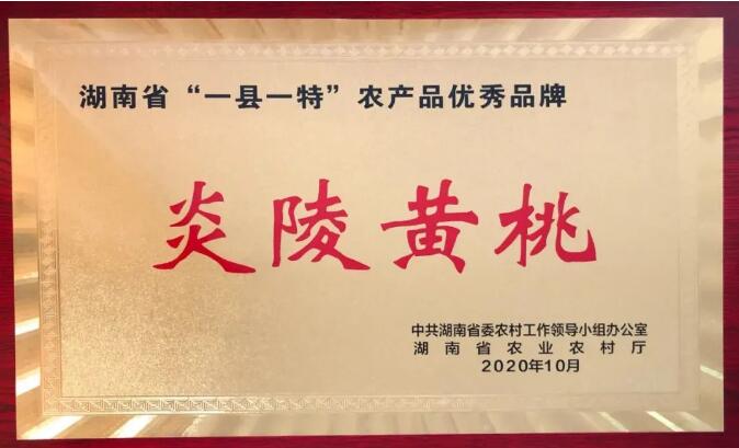 湖南首批“一县一特”最出名的前20大土特产公布！