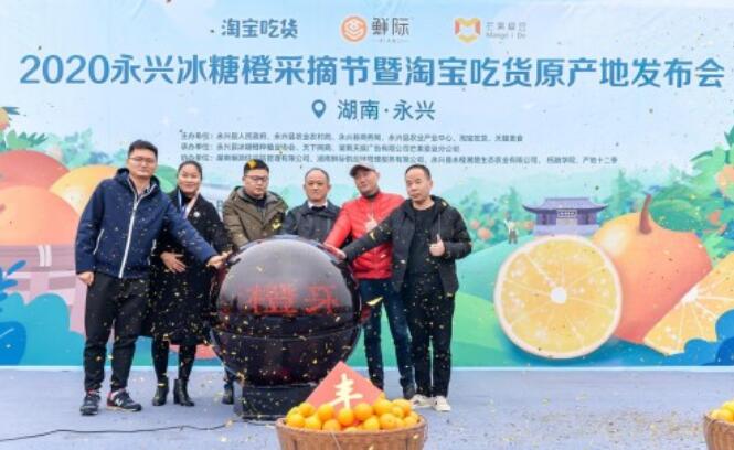 2021年永兴冰糖橙采摘节启动，淘宝吃货原产地发布会！