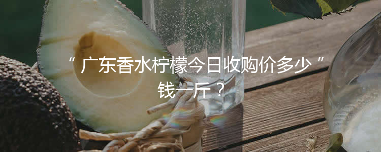 广东香水柠檬今日收购价多少钱一斤？